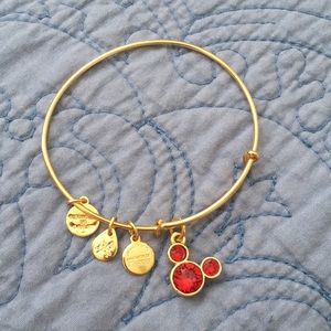 Alex & Ani Garnet (January) Birthstone Bangle